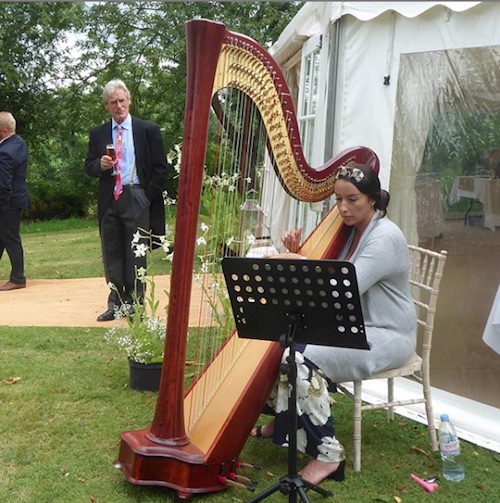 Harpist