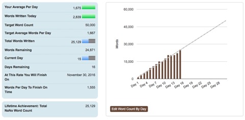 NaNo WC 1511