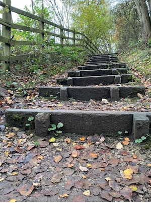 steps